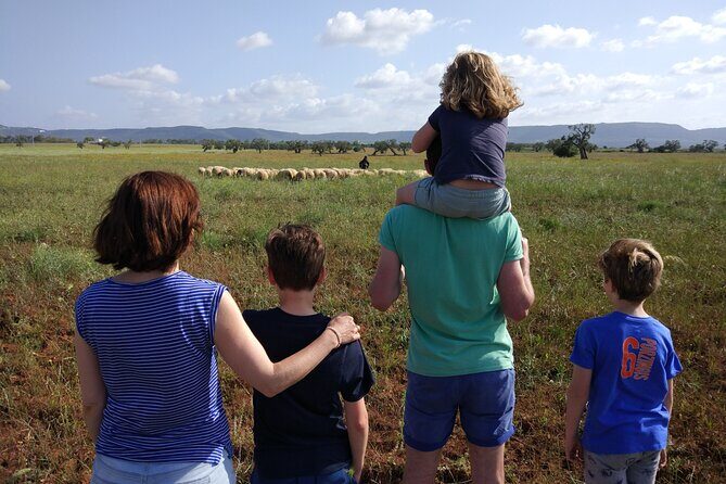 Private Bike Tour with Olive Oil Tasting - FAQ