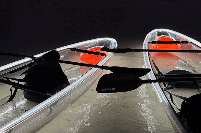 Private Bioluminescence Tour by clear Kayak in Holbox - The Experience: What to Expect