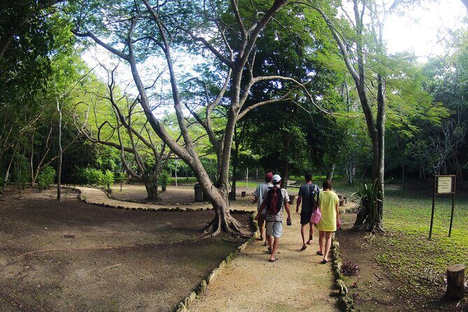 Private Birdwatching Tour in Sian Ka'an Muyil - An Honest Look at What You Can Expect