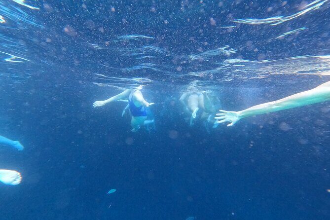 Private Blue Cave and Elaphiti Islands Half Day Tour - The Complete Breakdown of the Tour Experience