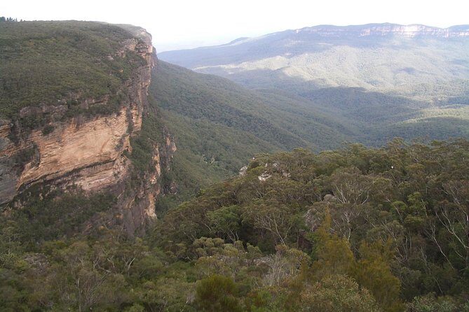 PRIVATE Blue Mountains day tour with local guide. - Is This Tour Worth It?