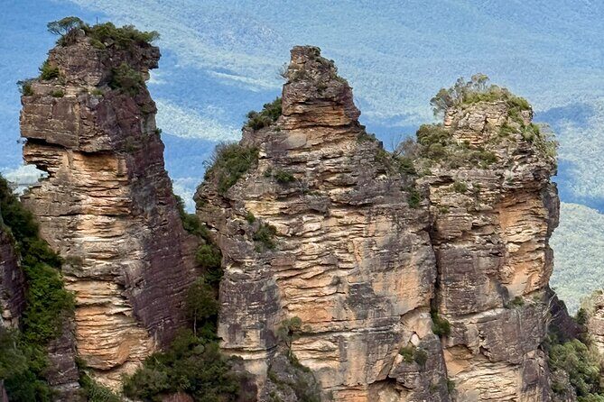 PRIVATE Blue Mountains tour & Koalas, Kangaroos, Cruise plus more - FAQ About the Tour