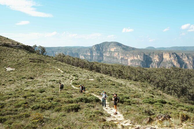 Private Blue Mountains Tour | Waterfalls, Koalas & Views - An In-Depth Look at the Tour Itinerary