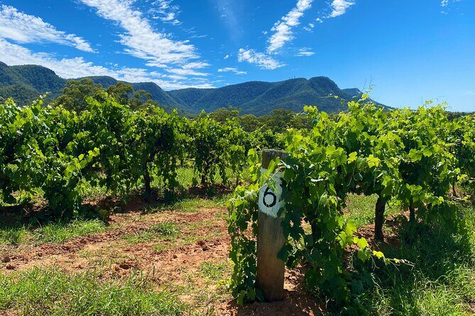 PRIVATE Blue Mountains Tour, Wildlife Park and River Cruise - Frequently Asked Questions