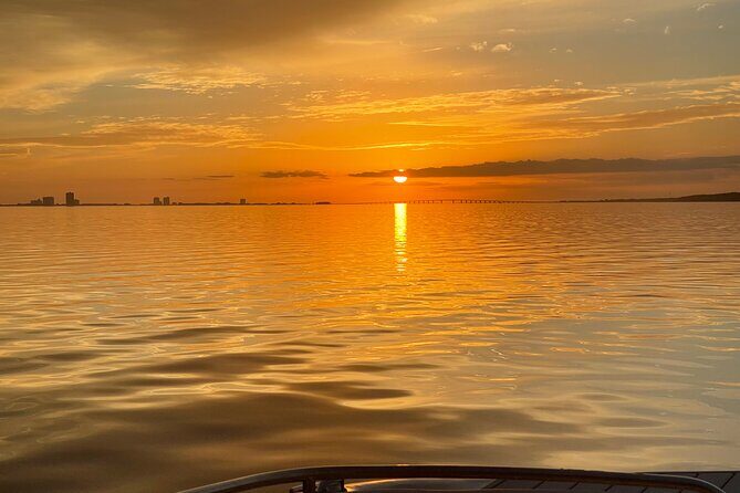 Private Boat and Dolphin Watching in Florida - Price and Value Analysis