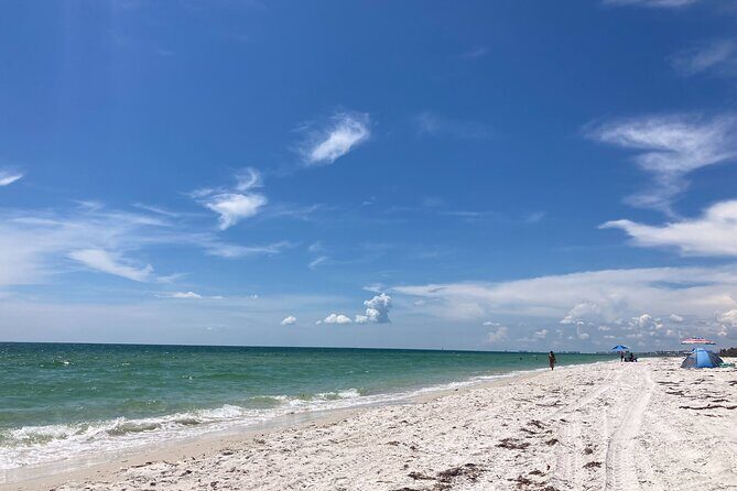 Private Boat Charters in Saint James - What You Can Expect from a Private Boat Tour in Saint James