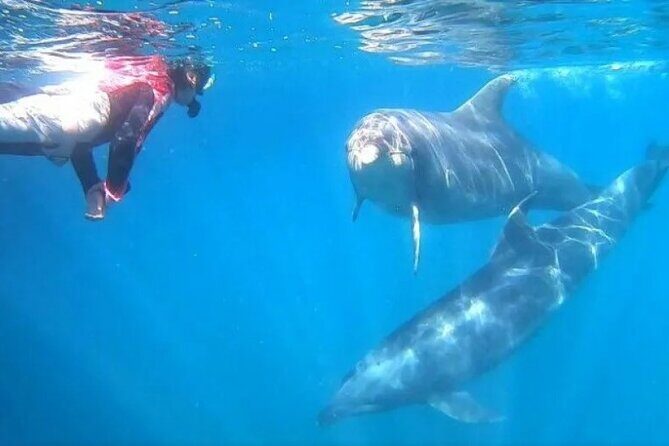 Private Boat Charters in Saint James - The Value of a Private Boat Experience