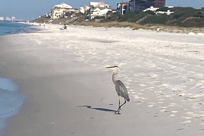 Private Boat Charters in Saint James - Final Thoughts