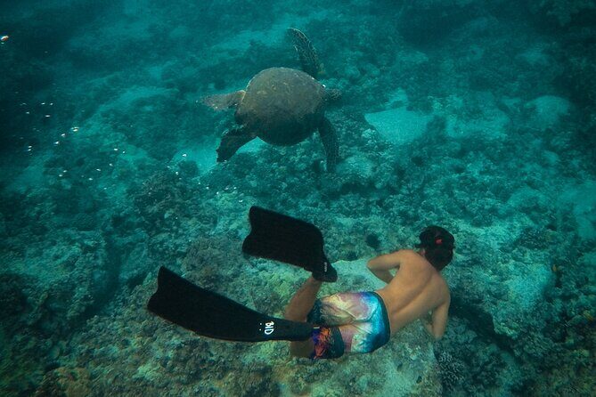 Private Boat Cruise of Waikiki! Snorkel, Sightseeing, Sea Life! - The Itinerary: What You Can Expect