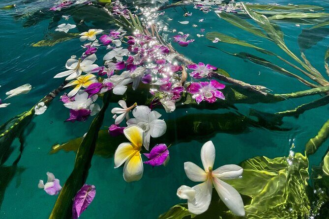 Private Boat Cruise of Waikiki! Snorkel, Sightseeing, Sea Life! - FAQ