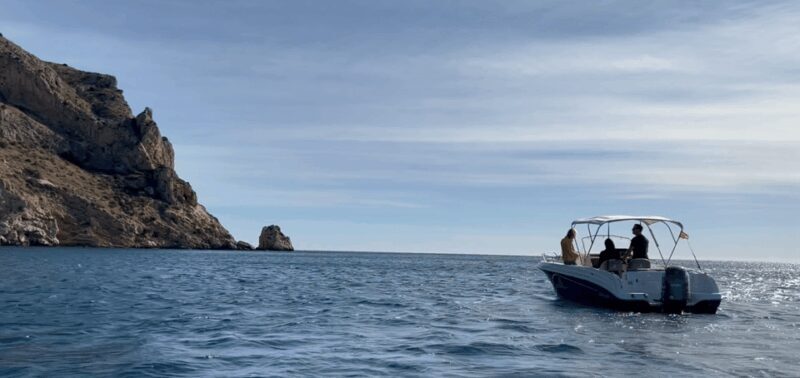 Private Boat Denia and Javea coast. Half Day - Who Should Consider This Tour?