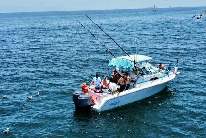 Private Boat Fishing in the Bay of Puerto Vallarta - Who Should Consider This Tour?