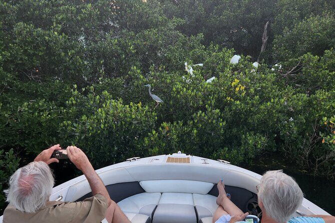 Private Boat: Island Cruise and Dolphins - FAQ