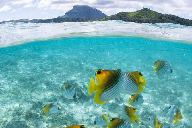 Private Boat Rental on Cap Camarat 25ft - Frequently Asked Questions