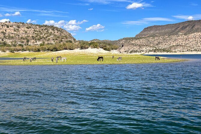 Private Boat Rental w/Captain in Lake Pleasant Arizona - What the Experience Feels Like