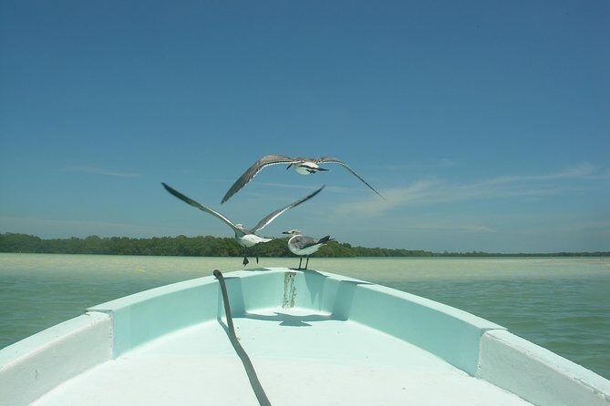 Private Boat to visit Holbox surroundings (3-Island Tour) - The Real Traveler Experience: Authentic and Enjoyable
