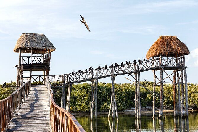 Private Boat to visit Holbox surroundings (3-Island Tour) - Who Should Consider This Tour?