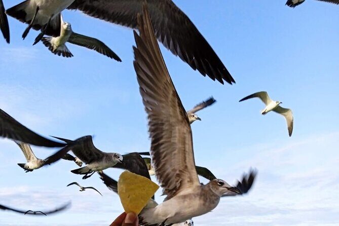 Private boat tour (3 islands tour) - Final Thoughts