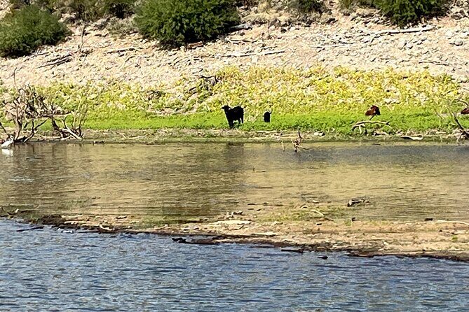 PRIVATE Boat Tour at Lake Pleasant Harbor - Who Should Consider This Tour?