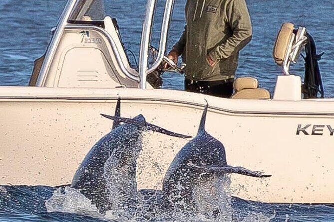 Private Boat Tour Dolphins Sunsets Shell Island and Snorkeling - Practical Considerations