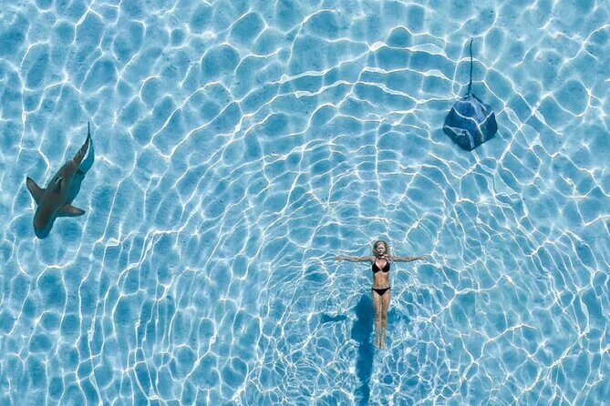 Private Boat Tour of Moorea Lagoon - The Experience: What You Can Expect