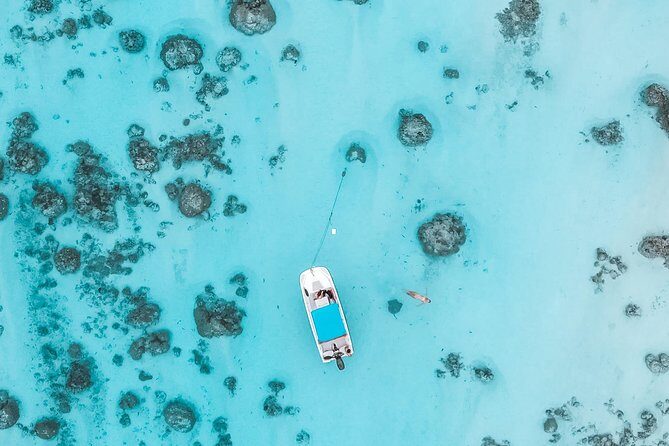 Private Boat Tour of Moorea Lagoon - Final Thoughts: Is It Worth It?