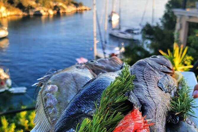 Private boat tour skippered by a local expert - fully customizable - The Costs and Value for Money