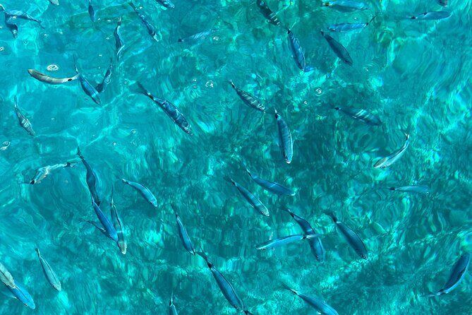 Private boat tour skippered by a local expert - fully customizable - The Sum Up