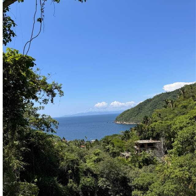 PRIVATE BOAT TOUR | SNORKEL | RESTAURANTS | YELAPA - Who Is This Tour Best For?