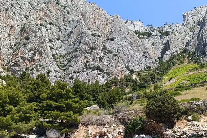 Private Boat Tour To Pakleni Islands and Red Rocks - Practical Tips for Booking and Enjoying the Tour