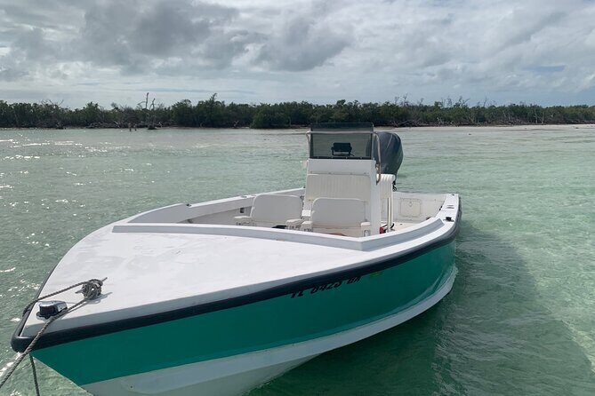 Private Boat Tour to Sand Bar Snorkel Dolphins and Sunset - In The Sum Up