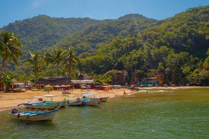 Private Boat Tour to Yelapa with Snorkeling and Waterfall Hike - The Experience in Detail