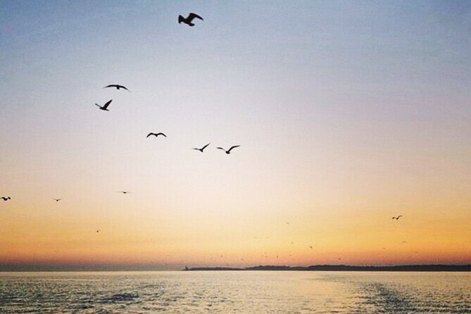 Private Boat Tour with activities in Pula Croatia - FAQ