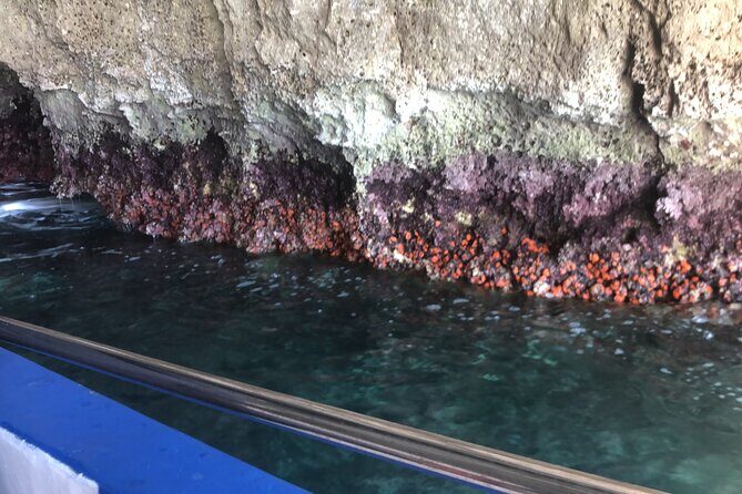 Private boat tour with prosecco and fresh fruit - FAQs