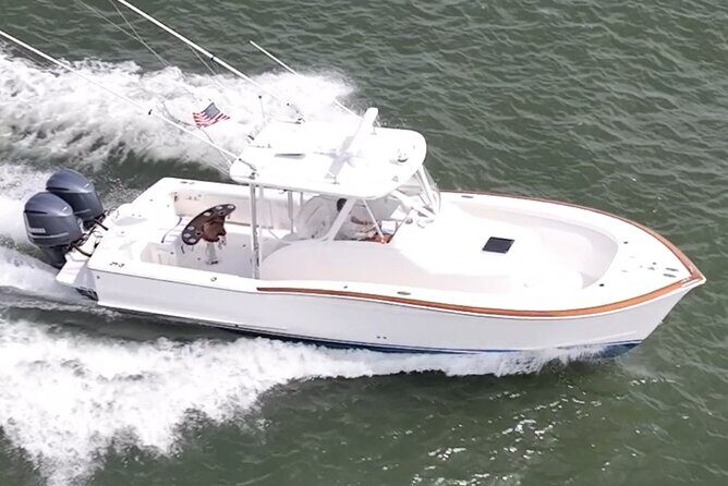 Private Boat Tours and dolphin encounters in Avalon NJ - Exploring Avalon NJ with a Private Boat Tour and Dolphin Encounters