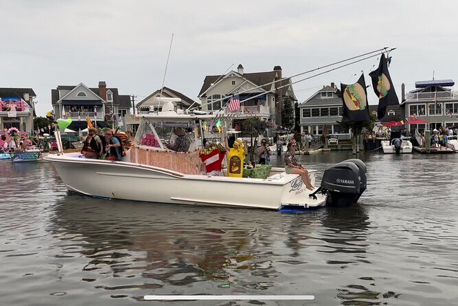 Private Boat Tours and dolphin encounters in Avalon NJ - The Value of a Private, Tailored Experience