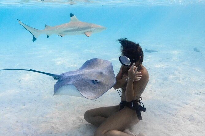 Private Boat Tours on Moorea Lagoon - What to Expect from Your Moorea Lagoon Private Tour