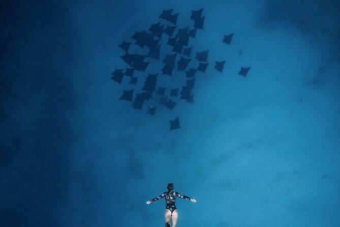 Private Boat Tours on Moorea Lagoon - Safety and Environmental Considerations