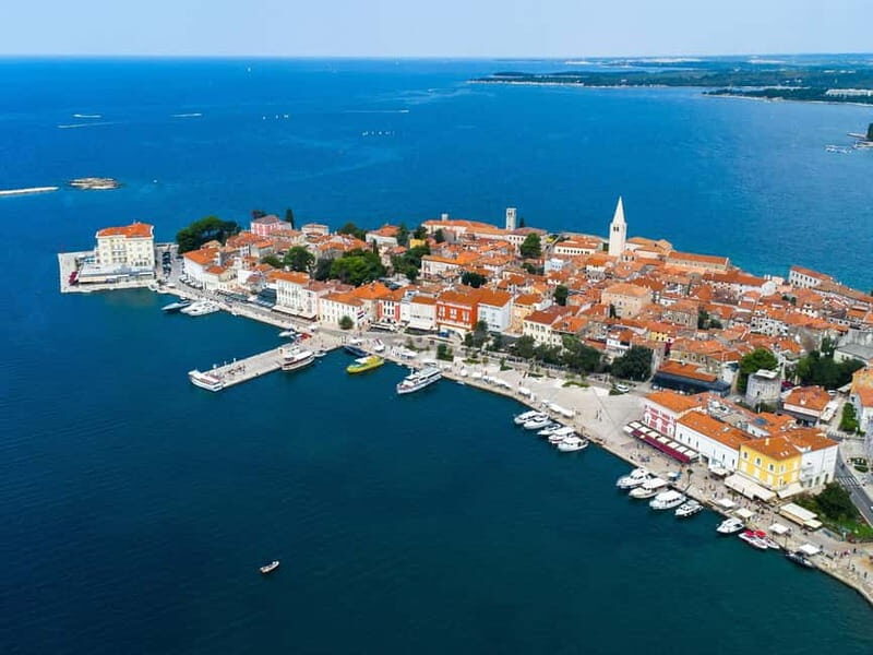 Private boat trips in Porec: dolphin watching, panoramic views - Key Points