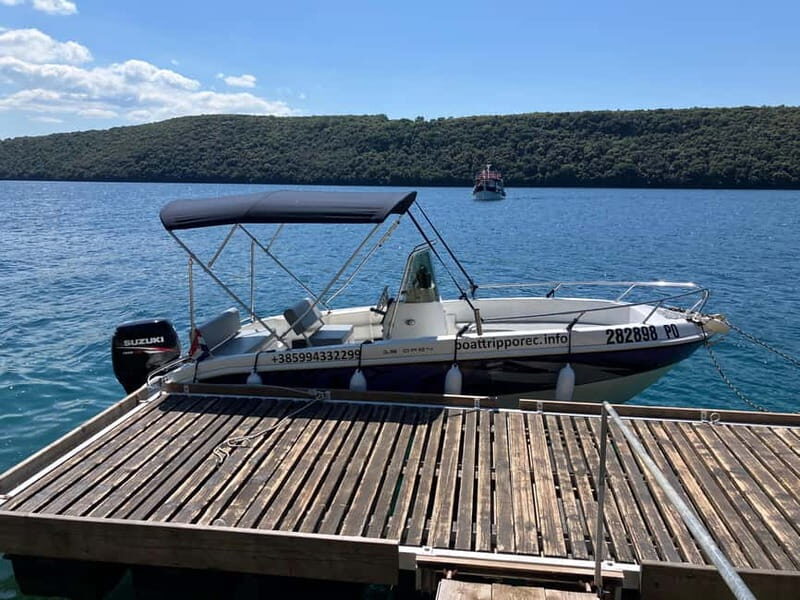 Private boat trips in Porec: dolphin watching, panoramic views - What Makes This Tour Stand Out