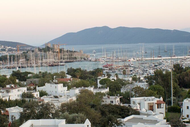 Private Bodrum City Tour for Cruise Passangers - Exploring Bodrum: A Comprehensive Look at the Private City Tour