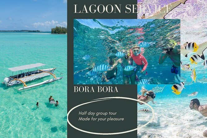 Private Bora Bora Lagoon Experience - Snorkeling Equipment and Comfort