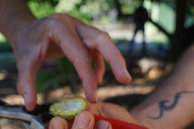 Private Botanical Garden Experience in the Heart of Maui - A Closer Look at the Private Garden Experience in Maui