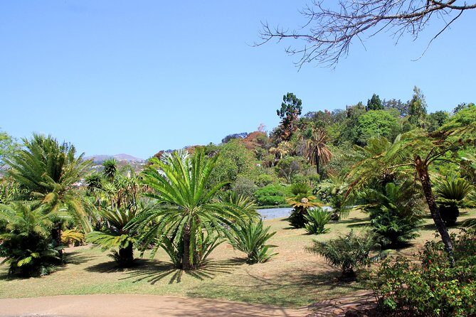 Private Botanical Garden Tour - What to expect and consider