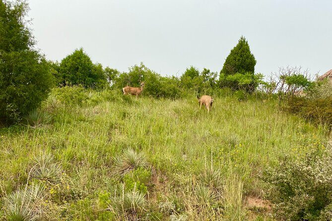 Private Boulder Tour from Denver - Boulder: The Heart of the Tour
