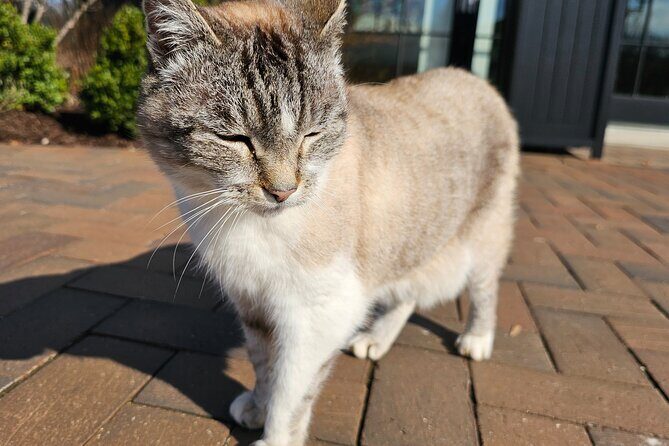 Private Bourbon Trail Transportation Package | Bardstown Region - Who Should Consider This Tour?