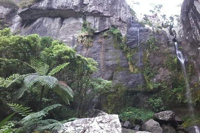 Private Breathtaking Koroyanitu Half Day Waterfall Hike - An Honest Look at the Koroyanitu Waterfall Hike Experience