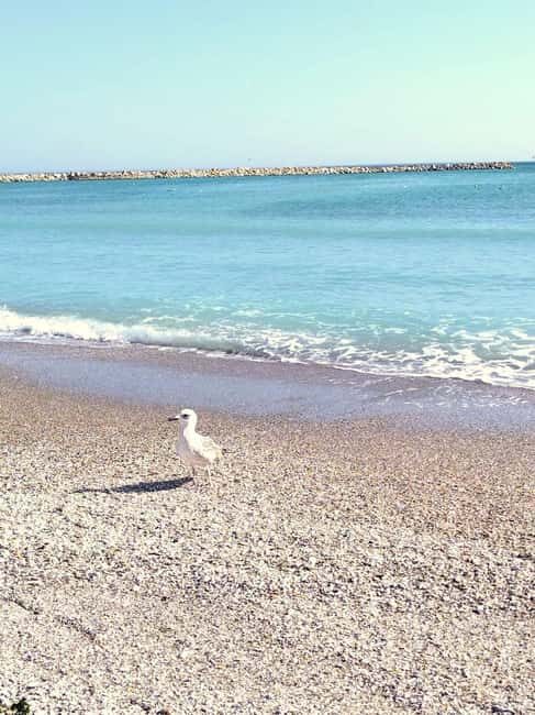 Private Bucharest Tour: Discover Constana & Black Sea Coast - FAQs