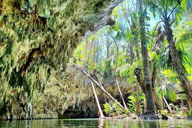 Private Buggy & ATV Tour to Jade Cavern Cenote: All-Inclusive - Who Should Consider This Tour?