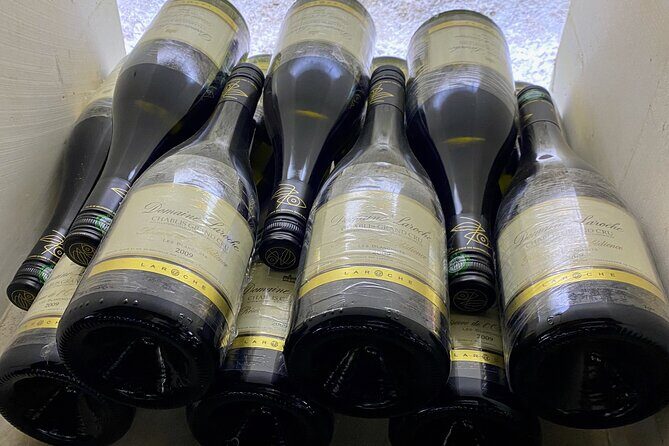 Private Burgundy 4 Domains 20 Chablis Wines tasting from Paris - A Deep Dive Into the Tour Experience